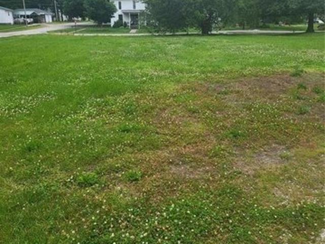 Land for sale in Marissa, Illinois