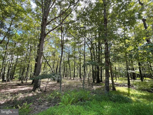 Land for sale in Zion Grove, Pennsylvania