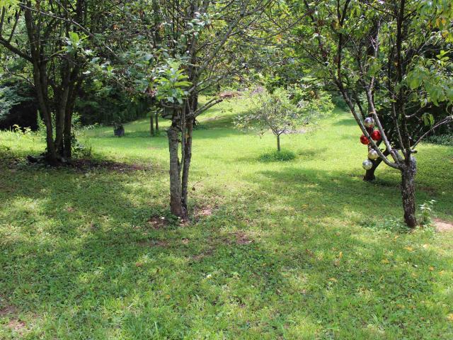 House for sale in Ashland, Alabama