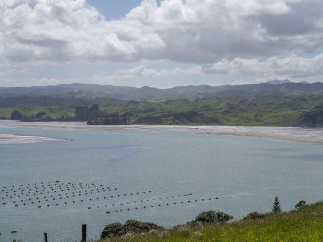 Land for sale in Waikato