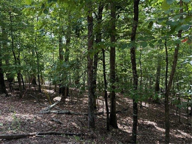 Land for sale in Waleska, Georgia