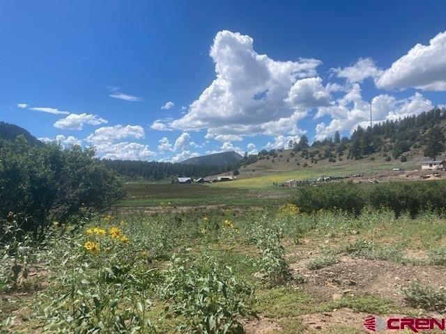 Land for sale in Pagosa Springs, Colorado