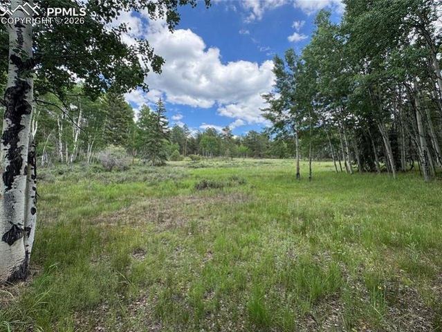 Land for sale in Lake George, Colorado