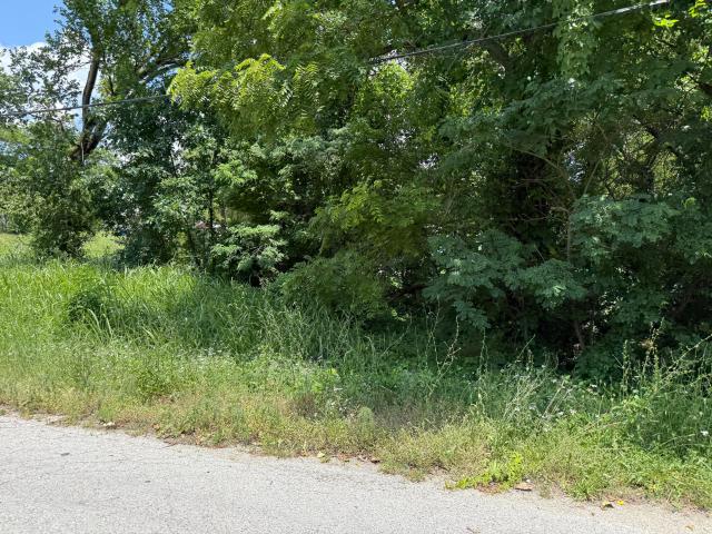 Land for sale in Bolivar