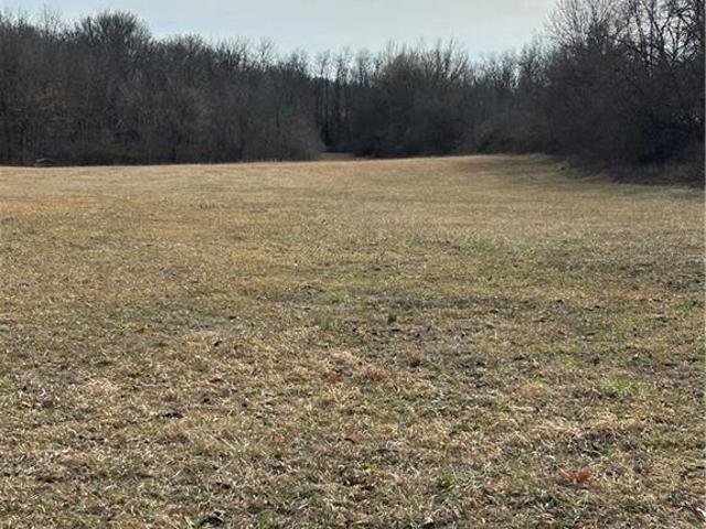 Land for sale in Ray, Missouri