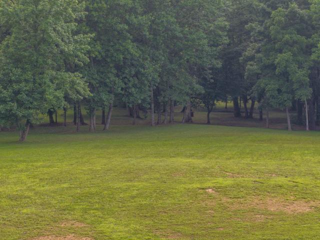 Land for sale in Florence, Alabama