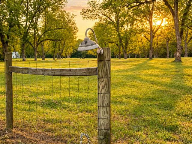 Land for sale in Milner, Lamar County