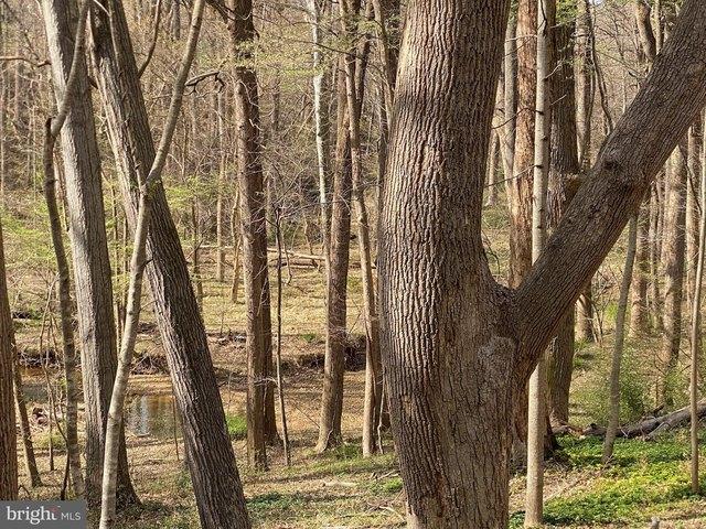 Land for sale in Potomac, Maryland