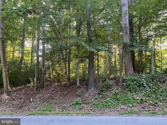 Land for sale in Bethesda, Maryland