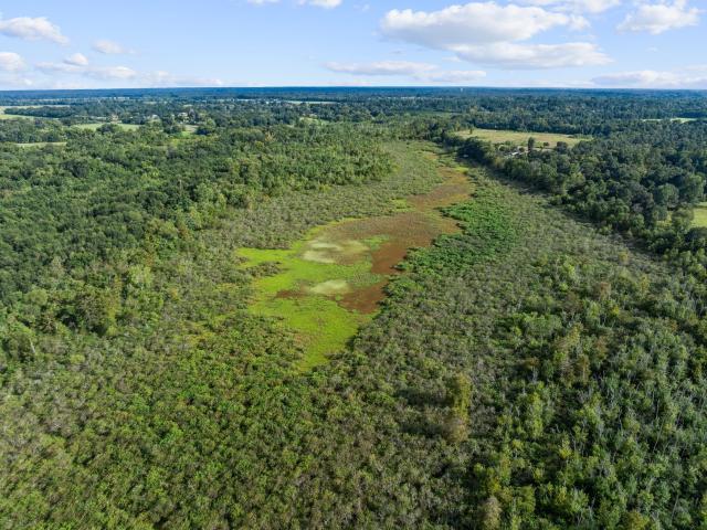 Farm for sale in Mariam, Liberty