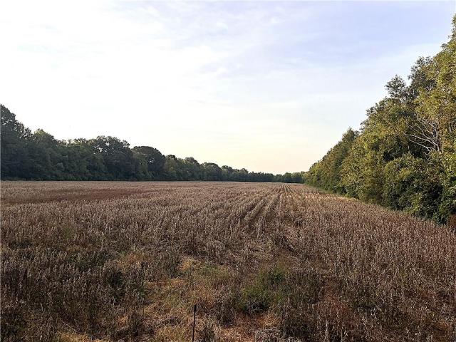 Land for sale in Plaucheville, Avoyelles Parish