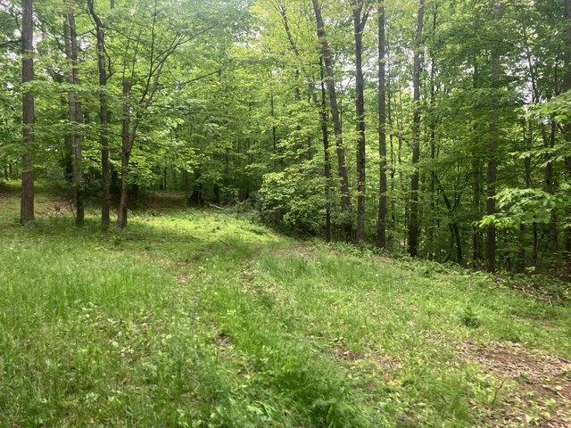Land for sale in West Virginia