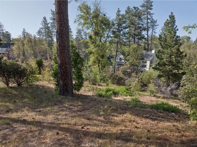 Land for sale in Cedar Glen, California