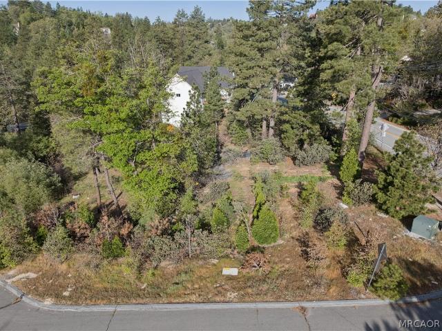 Land for sale in Cedar Glen, California