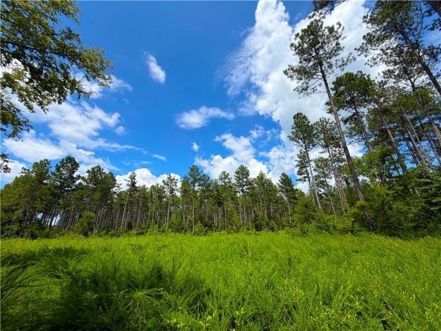Land for sale in Calhoun Falls, South Carolina