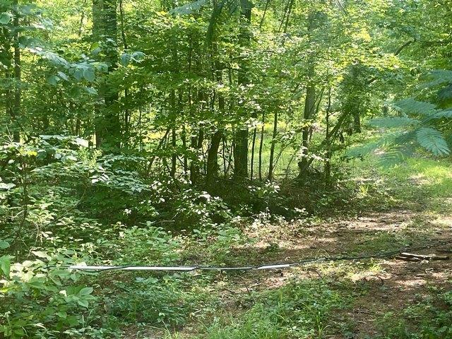 Land for sale in West Blocton, Alabama