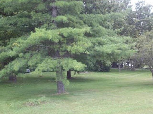 Land for sale in Winnebago, Illinois