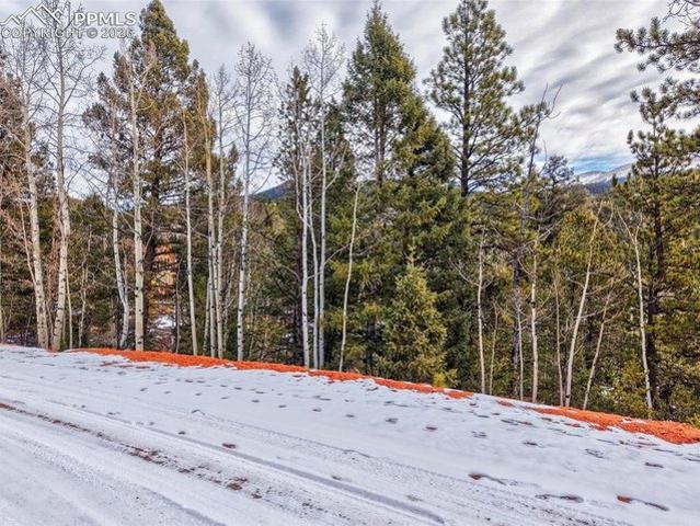 Land for sale in Divide, Teller County