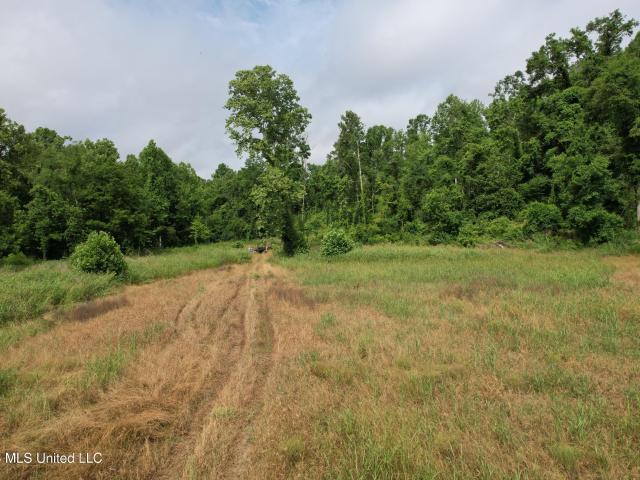 Land for sale in Vicksburg, Mississippi