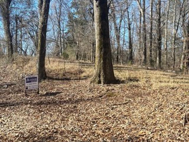 Land for sale in Grenada, Mississippi