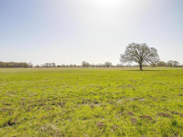 Land for sale in Henderson, Texas