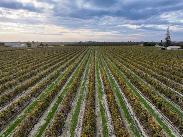Property for sale in Caruthers, California