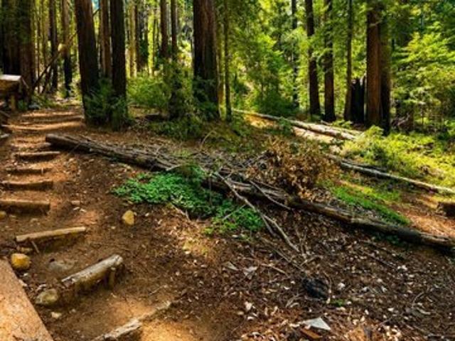 Land for sale in Brookdale, California