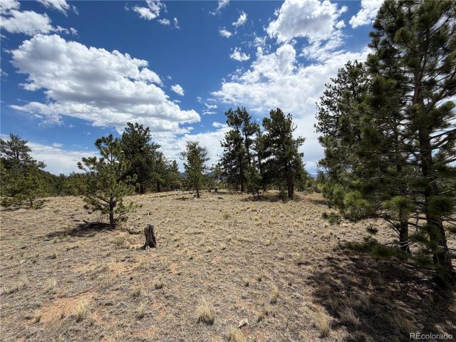 Land for sale in Hartsel, Colorado