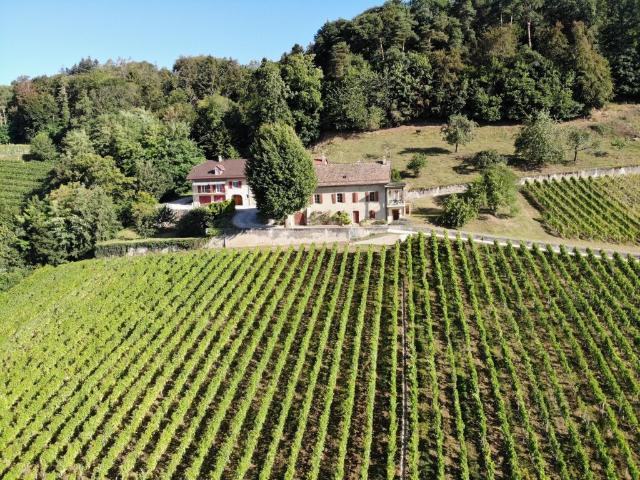 Bauernhaus kaufen in Luins, Waadt