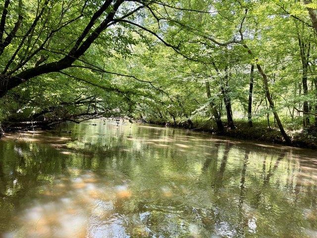 Land for sale in Waterloo, South Carolina