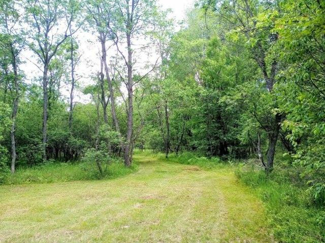 Land for sale in Fife Lake, Michigan