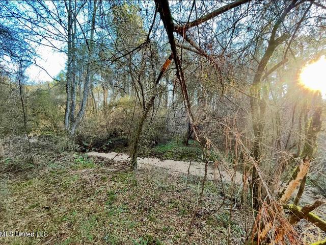 Land for sale in Jayess