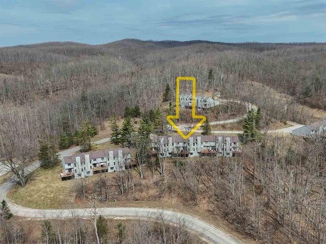 Condo for sale in Harbor Springs, Michigan