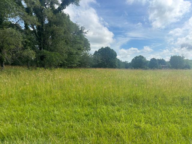 Land for sale in Marshall, Illinois