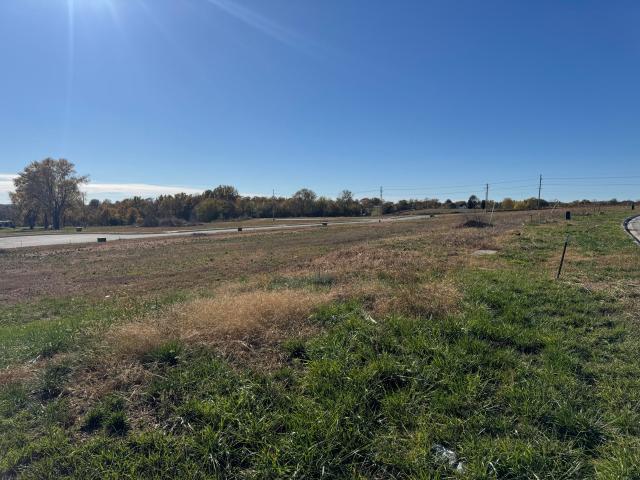 Land for sale in Republic, Missouri