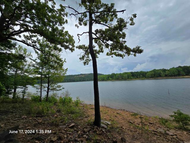House for sale in Shirley, Van Buren County