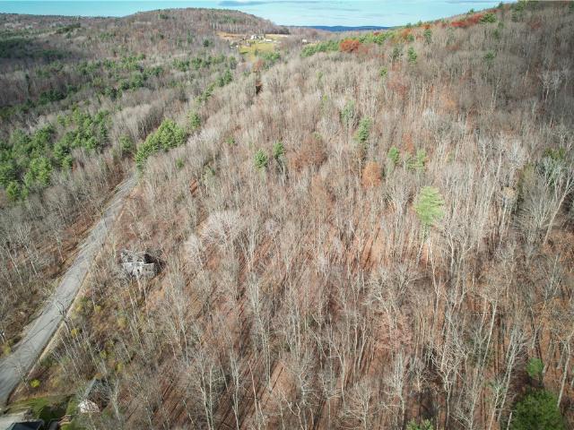 Land for sale in Chemung, New York