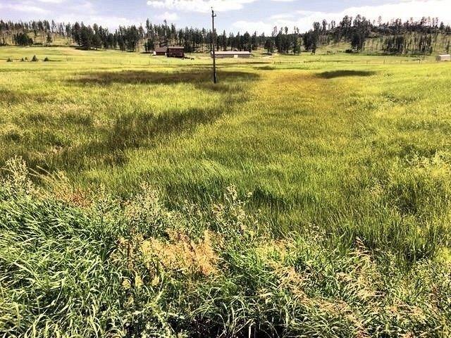 Land for sale in Custer, Custer County