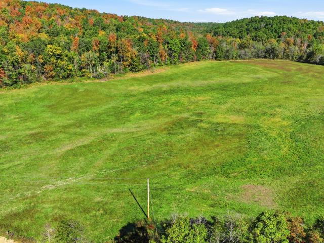 Land for sale in Reynolds County, Missouri