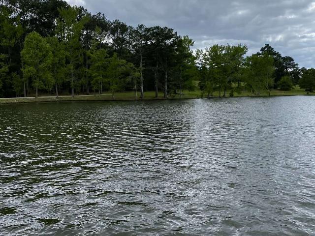 House for sale in Mcdonough, Georgia