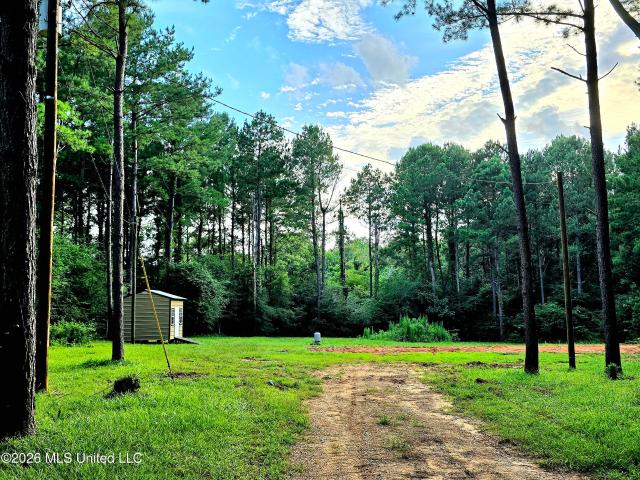 Land for sale in Osyka, Mississippi