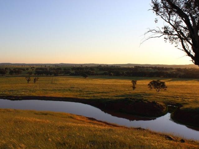 Cottage for sale in Maimuru, New South Wales