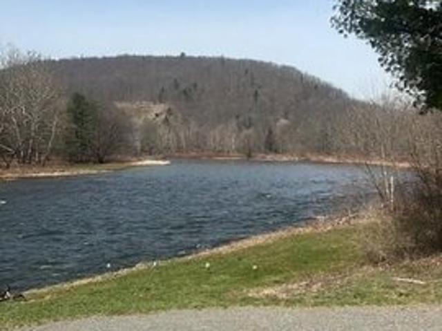Land for sale in East Branch, New York