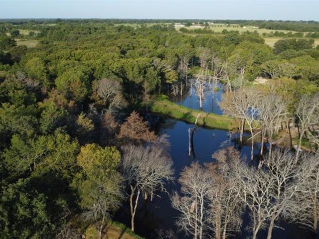 Land for sale in Sadler, Texas