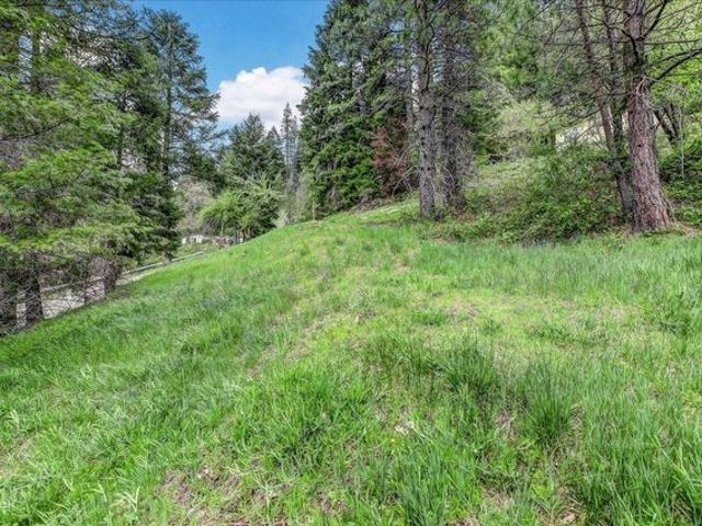 Land for sale in Downieville, California