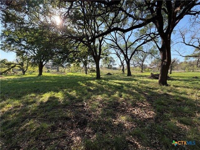 Land for sale in Oglesby, Texas
