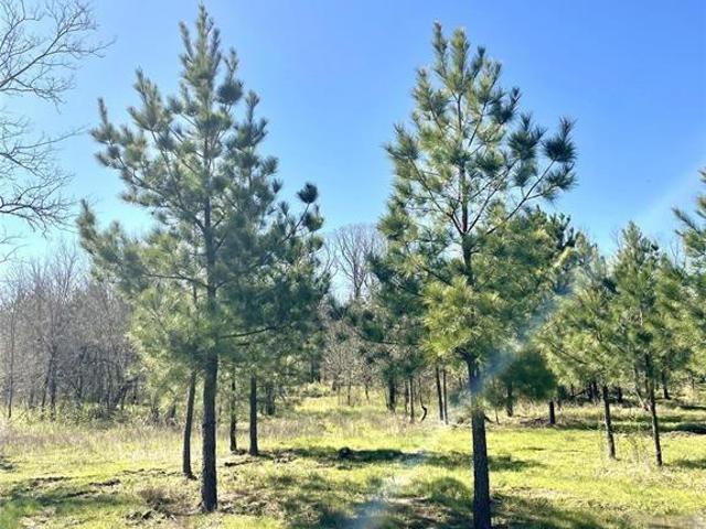 Land for sale in Broken Bow, Oklahoma