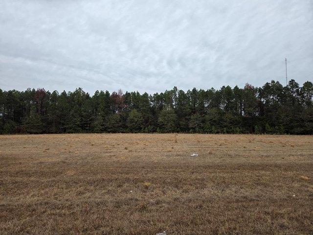 Land for sale in Cordele, Crisp County