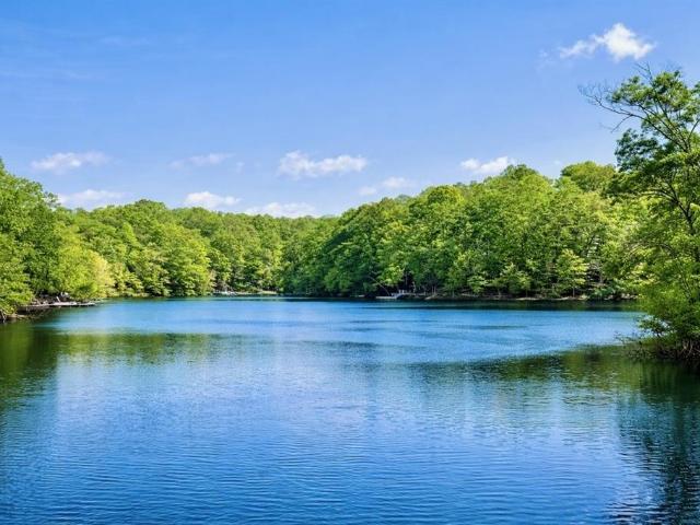 Property for sale in Waleska, Georgia