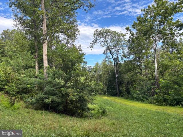 Land for sale in Virginia